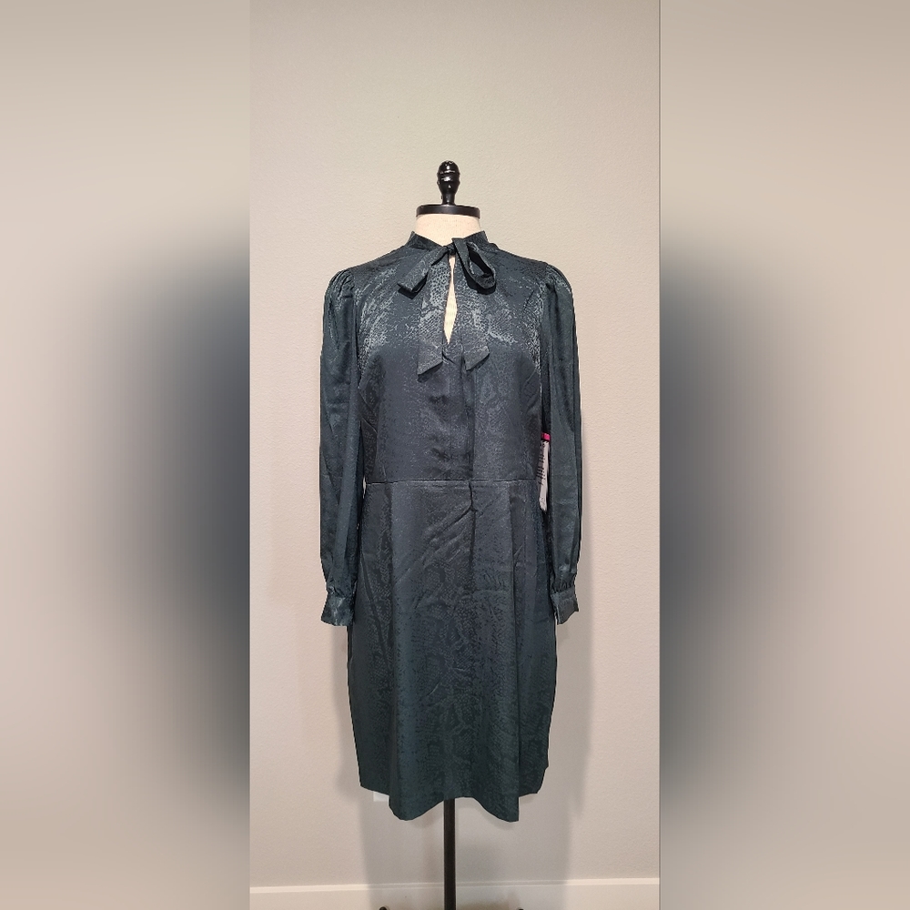 Betsy Johnson Dress